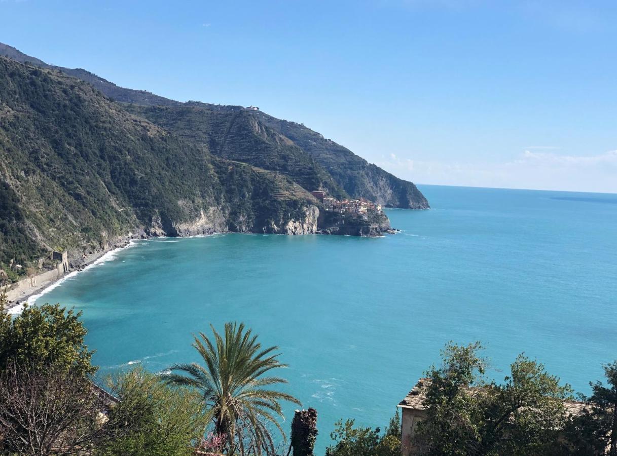 My Place Your Place Corniglia Exterior foto